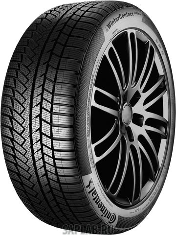 Купить CONTINENTAL 1233206 Шины Continental CONTIWINTERCONTACT TS860 275/50R21 113V