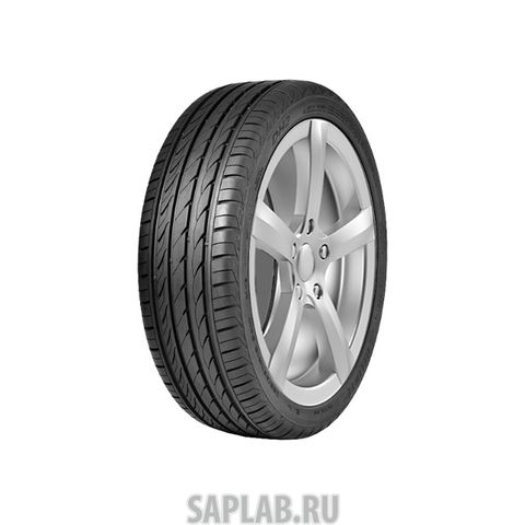 Купить DELINTE 6901532200651 Шины Delinte DH2 215/60 R16 99V