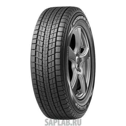 Купить DUNLOP 338065 Шины DUNLOP 265/45/20 R 108 WINTER MAXX Sj8