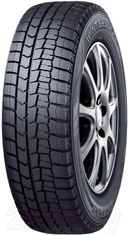 Купить DUNLOP 351369 Шины DUNLOP 245/50/19  T 101 WINTER MAXX WM02  DSST Run Flat