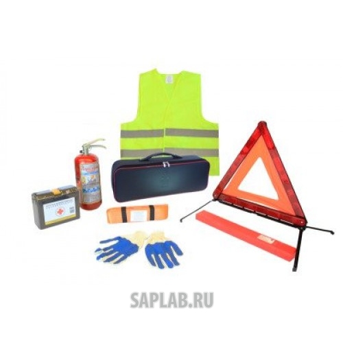 Купить RENAULT 7711471438 Автомобильный набор Люкс Renault Emergency Set Lux, артикул 7711471438