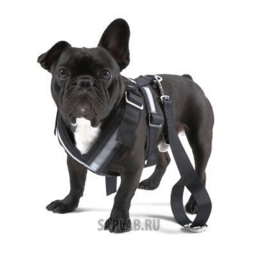 Купить Skoda 000019409B Ремень безопасности для собаки Skoda Dog Safety Belt, размер M, артикул 000019409B