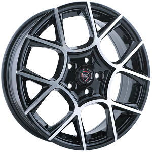 Купить Nz WHS076309 F-26 17/7 ET45 Bkf